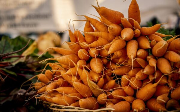 Morkos auga kreivos ir karčios? Sužinokite, kokią klaidą darote ruošdami dirvą