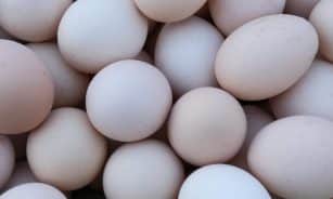 A detailed shot of fresh, uncooked eggs, ideal for culinary and farm-related themes.