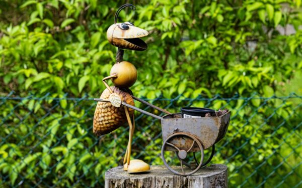 Jūsų sodyba gali atrodyti pigiai: 5 populiarūs daiktai, kurie išduoda prastą skonį