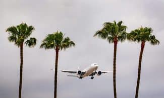 Airplane landing at Los Angeles International Airport surrounded by palm trees under cloudy skies.
