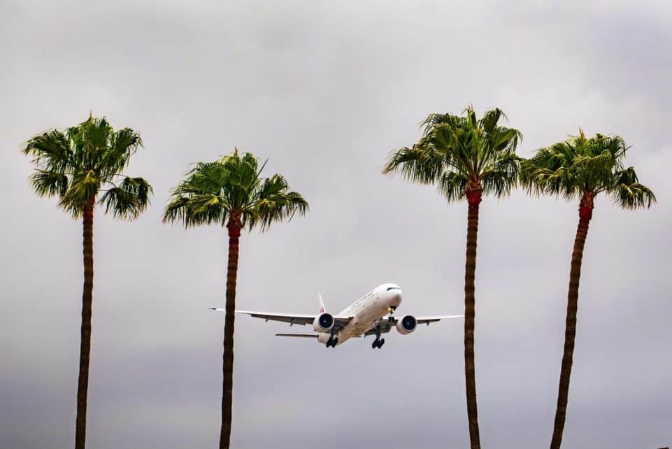 Airplane landing at Los Angeles International Airport surrounded by palm trees under cloudy skies.
