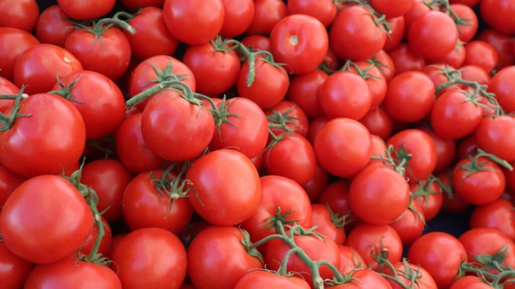 Vibrant organic tomatoes piled at a farmers market in Elk Grove, California.