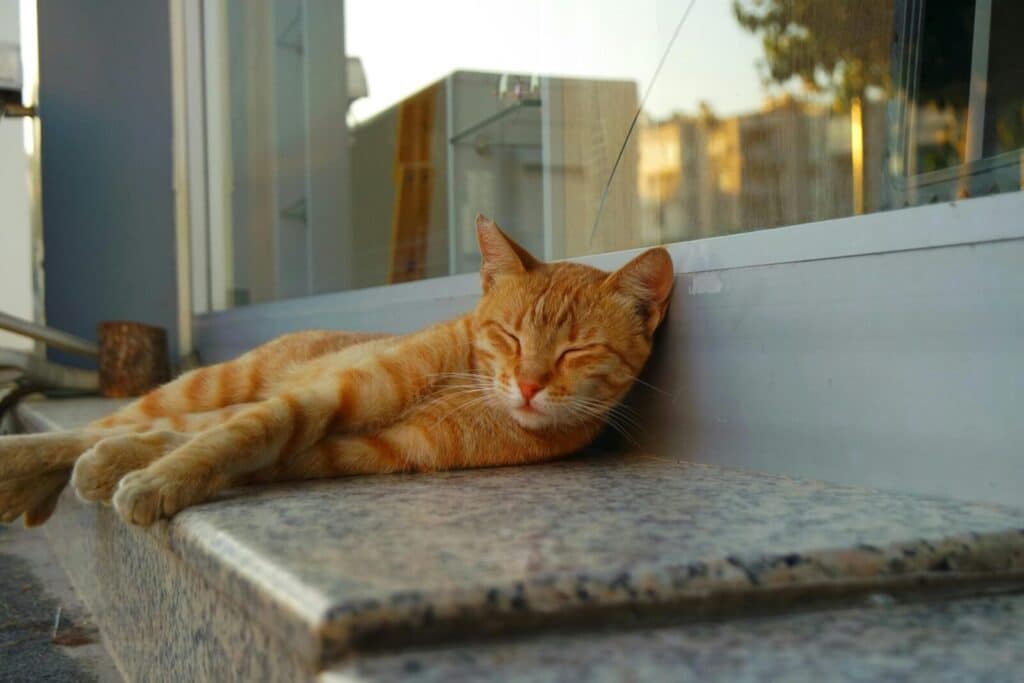 A cute ginger cat taking a nap on a stone ledge outside during the day.