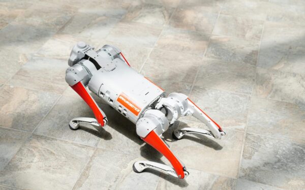 Geležinkelių revoliucija Kinijoje: metro patruliuoja humanoidai ir robošunys