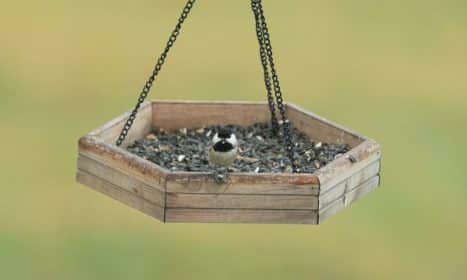 A chickadee perched on a wooden bird feeder filled with seeds outdoors.