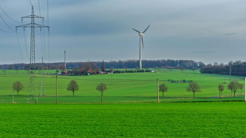 „Elektrum Lietuva“: šalyje reikšmingas elektros kainų kritimas, per savaitė sumažėjo 22 proc.