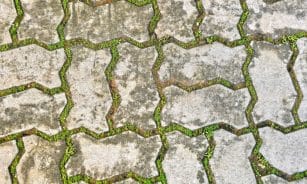 Close-up view of interlocking concrete pavement blocks with grass growing between them, Fès, Morocco.