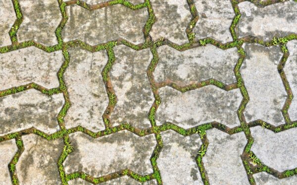 Pamirškite varginantį ravėjimą: šis pigus būdas piktžoles tarp trinkelių išnaikins akimirksniu