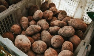 A crate full of freshly harvested potatoes displayed at a market in Surabaya, Indonesia.