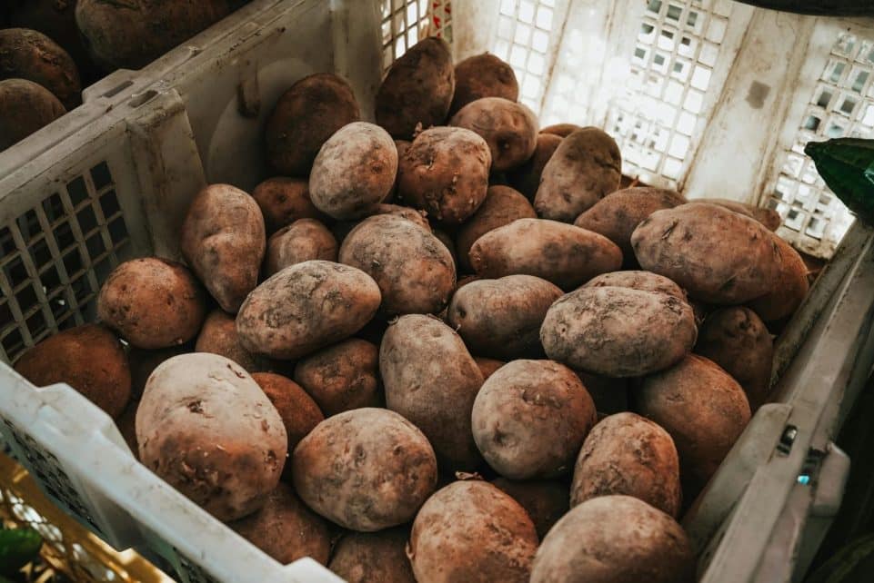 A crate full of freshly harvested potatoes displayed at a market in Surabaya, Indonesia.