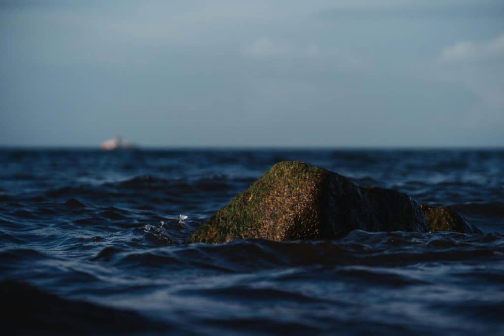 Close-up of a moss-covered rock in the Baltic Sea, captured at sunset near Rostock, Germany.
