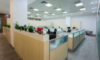 Spacious and bright open office area with cubicles, plants, and contemporary design.