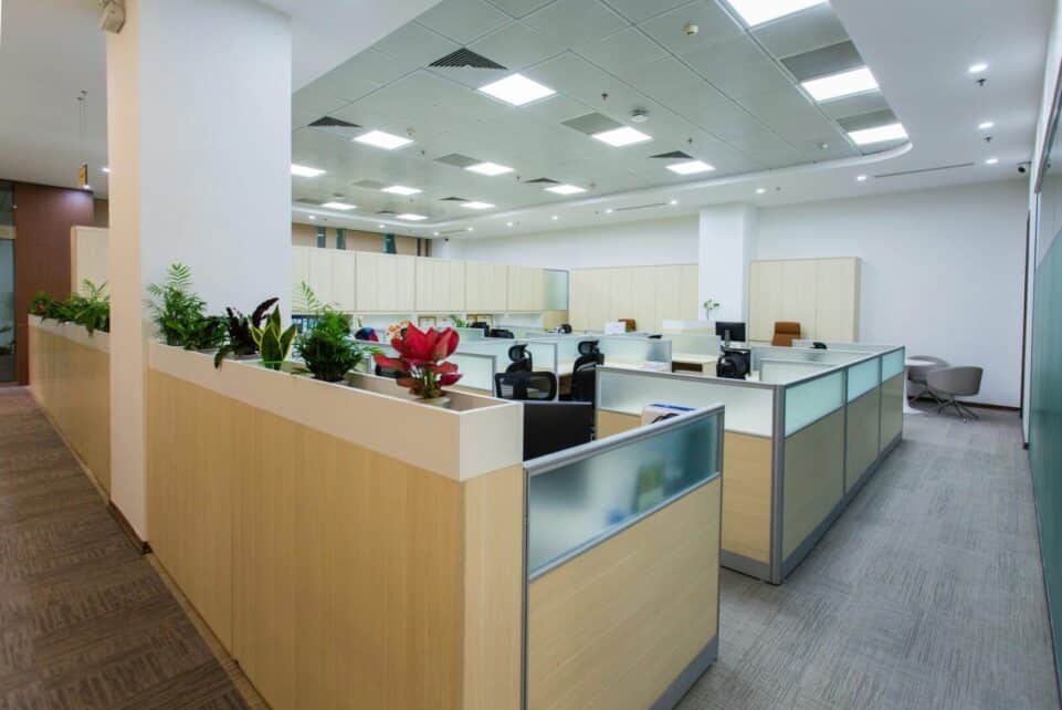 Spacious and bright open office area with cubicles, plants, and contemporary design.