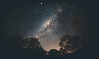 Stunning view of the Milky Way galaxy over silhouetted trees in a tranquil night setting.