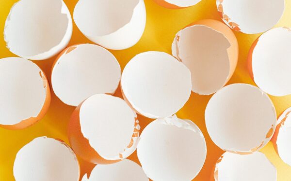 Augalai auga prastai? Štai kodėl į duobutes verta įberti paprastų kiaušinių lukštų