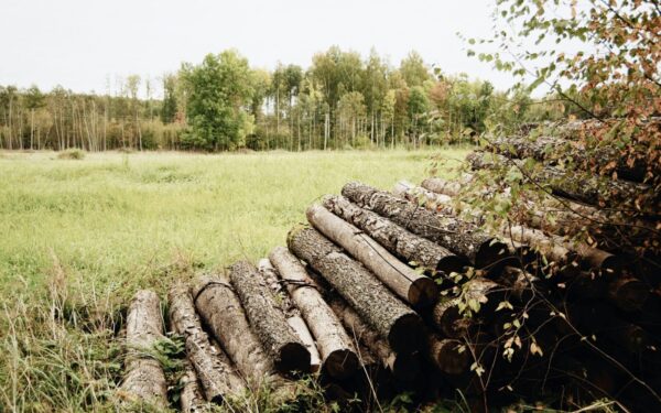 Ar parduotuvių lentynos ištuštės? JAV atskleidė, kodėl naujos ES taisyklės gali branginti maistą