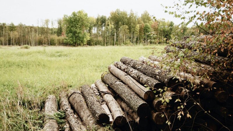Ar parduotuvių lentynos ištuštės? JAV atskleidė, kodėl naujos ES taisyklės gali branginti maistą