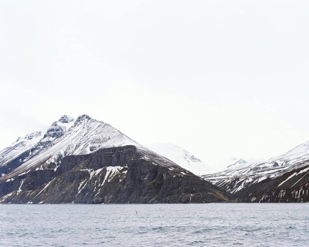 A serene view of snow-covered mountains beside cold Arctic waters under a neutral sky.