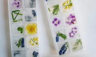 Unique floral ice cubes in plastic trays, showcasing nature-inspired frozen designs.