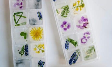 Unique floral ice cubes in plastic trays, showcasing nature-inspired frozen designs.
