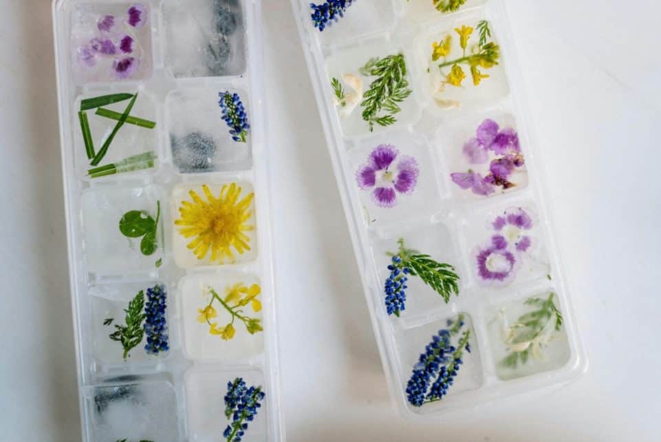 Unique floral ice cubes in plastic trays, showcasing nature-inspired frozen designs.