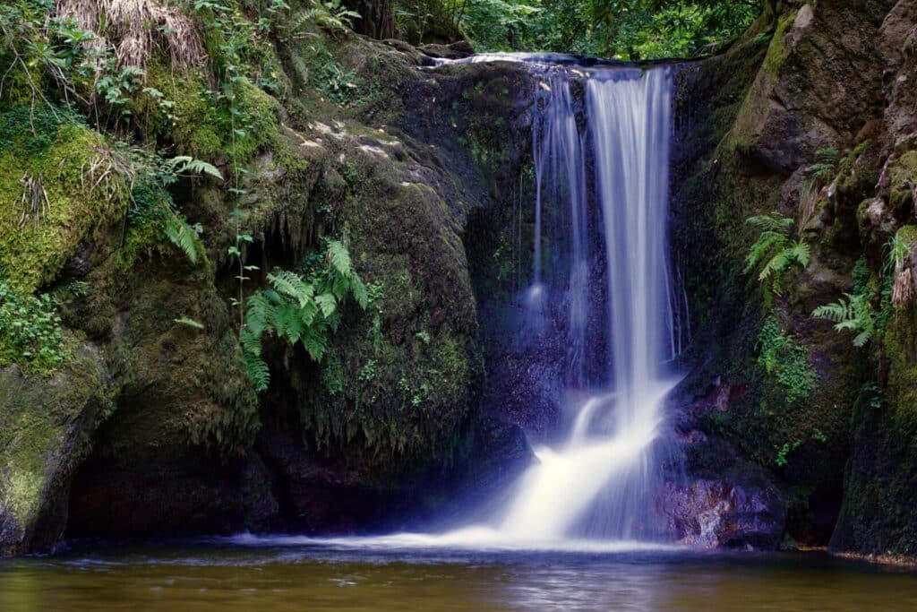 Gentle waterfall cascading over moss-covered rocks in a serene forest in Baden-Baden, Germany.