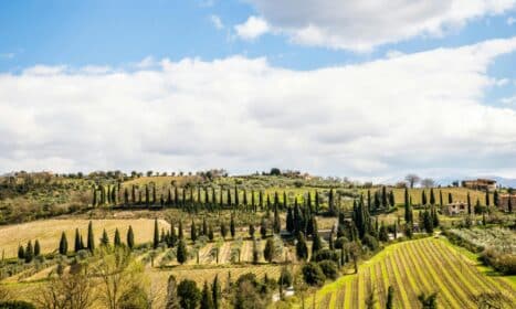 Scenic view of Tuscan farmland with rolling hills and cypress trees under a blue sky.