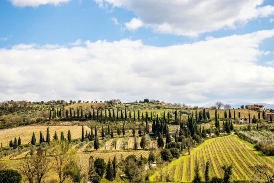 Scenic view of Tuscan farmland with rolling hills and cypress trees under a blue sky.