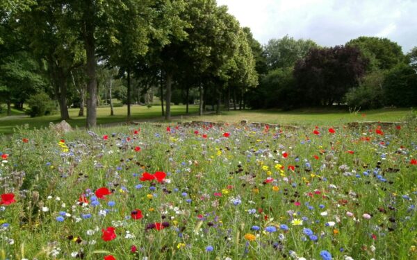 Kodėl pavasarį norisi kalnus nuversti? Štai kaip saulė perjungia jūsų hormonus
