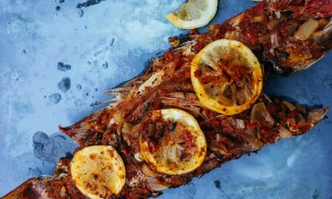 Deliciously grilled fish topped with lemon slices on a textured blue surface.