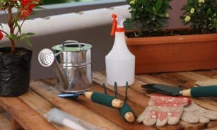 A collection of gardening tools and plants on a wooden table, ideal for gardening enthusiasts.