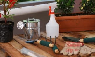 A collection of gardening tools and plants on a wooden table, ideal for gardening enthusiasts.
