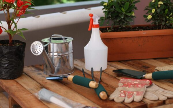 Neišmeskite plastikinio butelio: šis būdas leis užsiauginti gausų derlių net ant mažos palangės