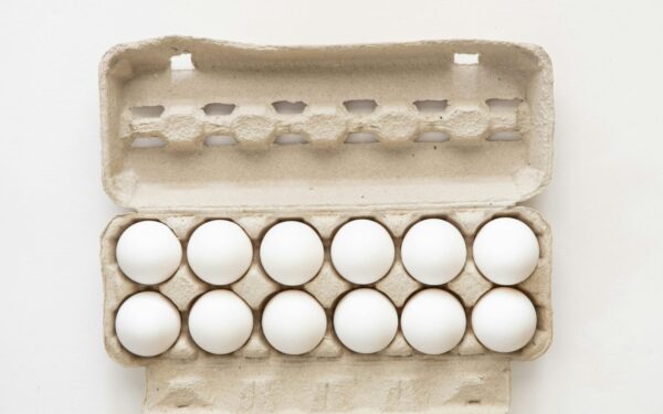 Daugiau jų nebeišmesite: štai kaip kiaušinių dėklai padės darže sutaupyti ir laiko, ir sėklų