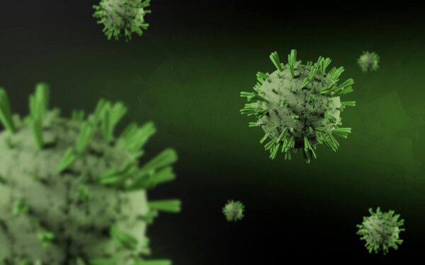 Iš laboratorijos ar iš gamtos? Mokslas atskleidė, kaip COVID-19 iš tiesų užpuolė žmones