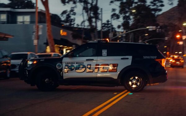 Policija sulaikė vieną žymiausių dainininkių: įtariama, kad vairavo apsvaigusi