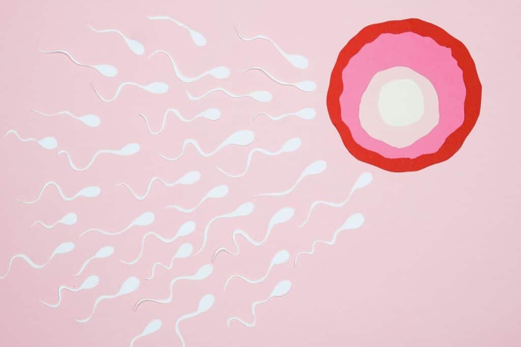 Artistic representation of sperm cells swimming towards an egg on a pink background, illustrating fertilization.