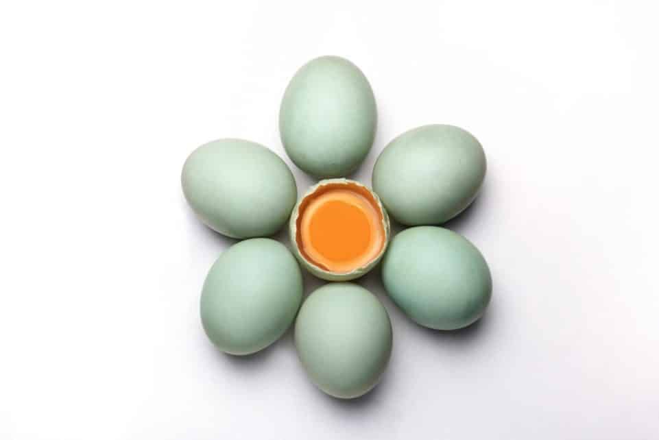 Top view of blue-green eggs with one open, revealing yolk, on stark white background.