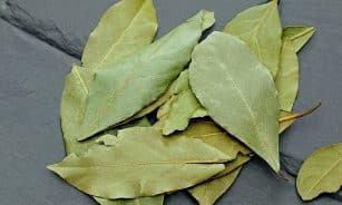 A close-up photo of dried bay leaves on a textured slate surface, ideal for spice and culinary themes.