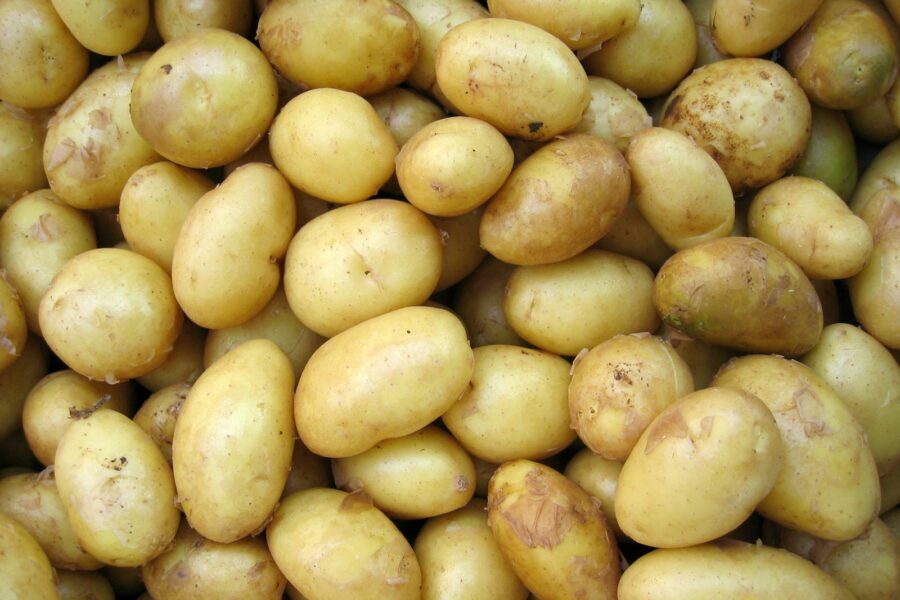 potatoes