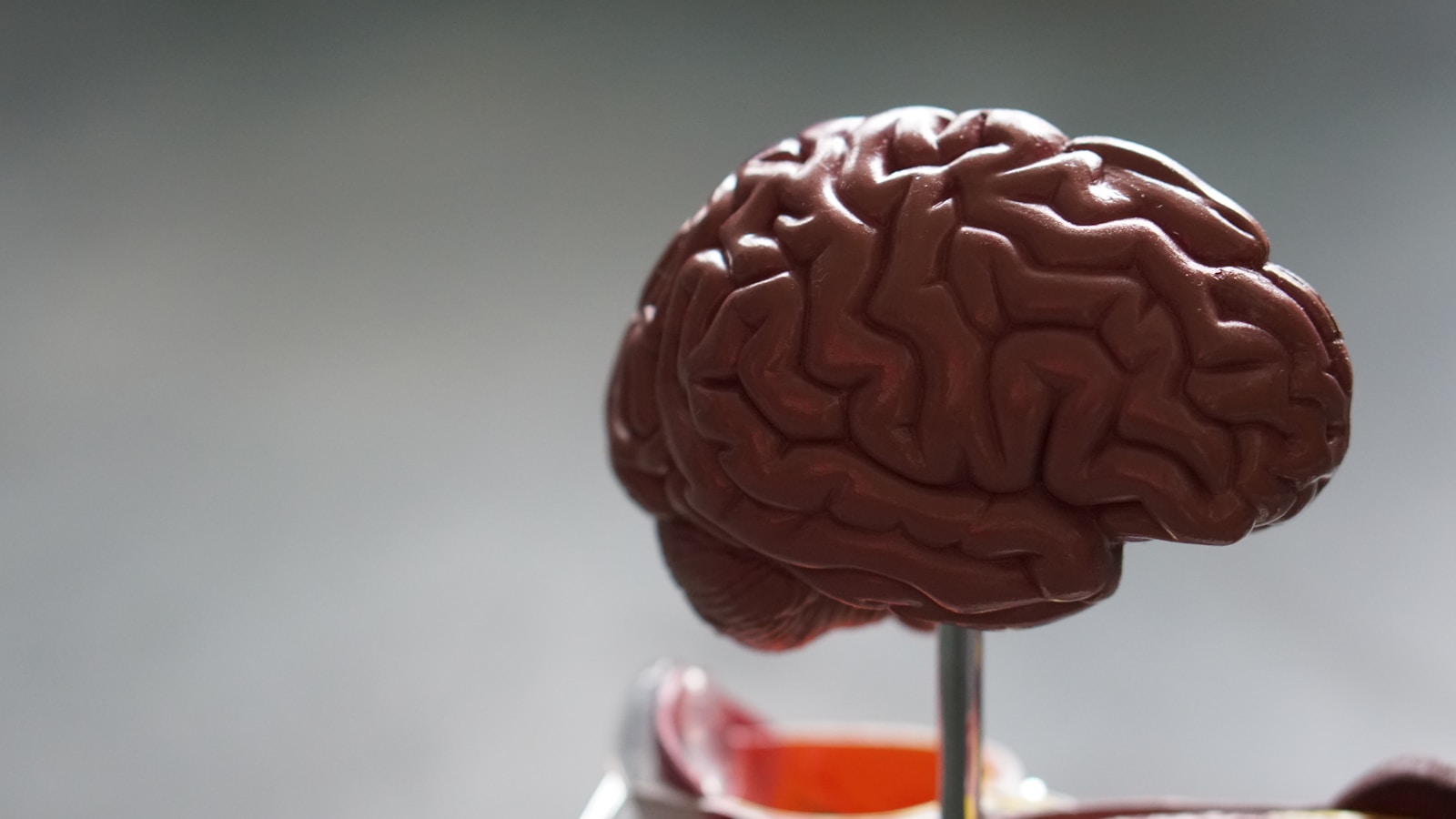 Alzheimerio liga prasideda ne senatvėje: mokslininkai įvardijo ankstyvąjį signalą