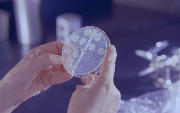 Pavojinga infekcija vėl plinta: mokslininkai rado būdą, kaip sunaikinti ją iš vidaus