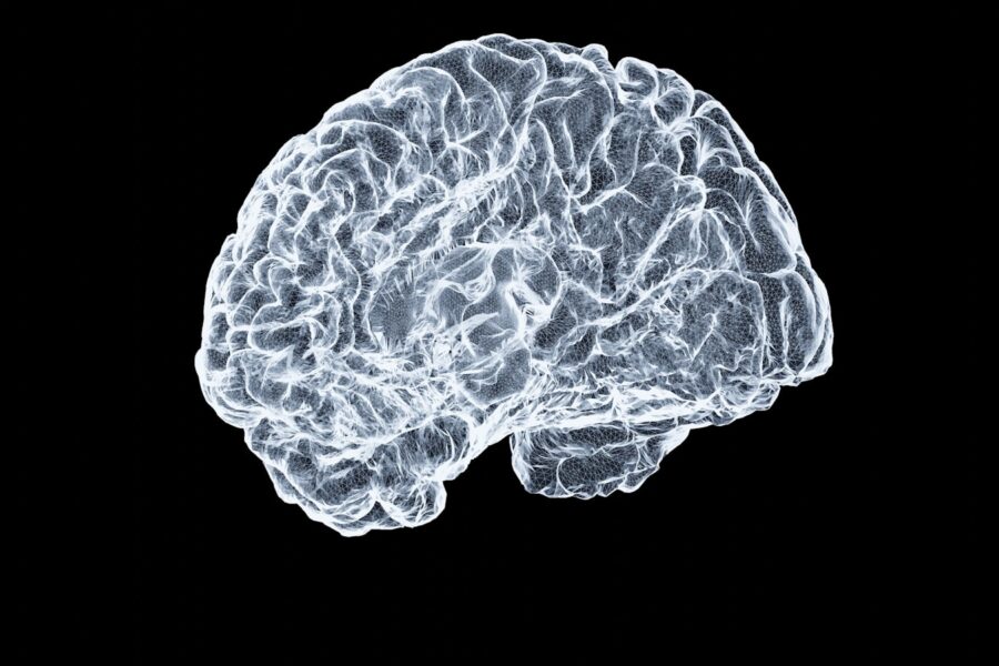a close up of a human brain on a black background