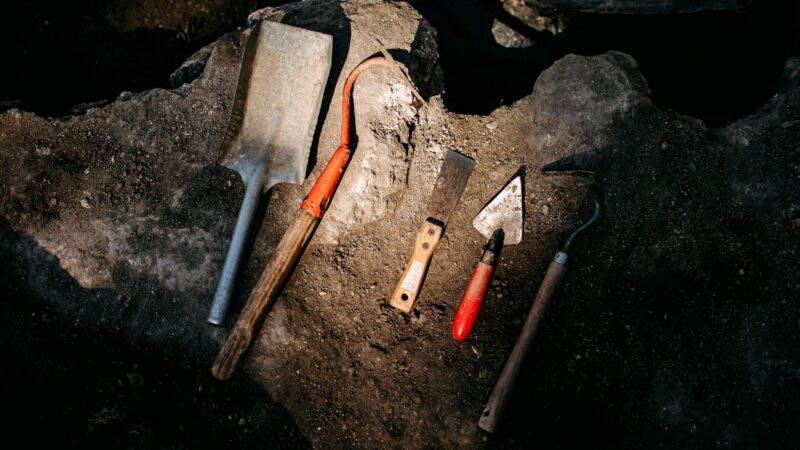 Pradedami arkikatedros tyrimai, mokslininkai tikisi atskleisti tai, kas iki šiol nežinoma