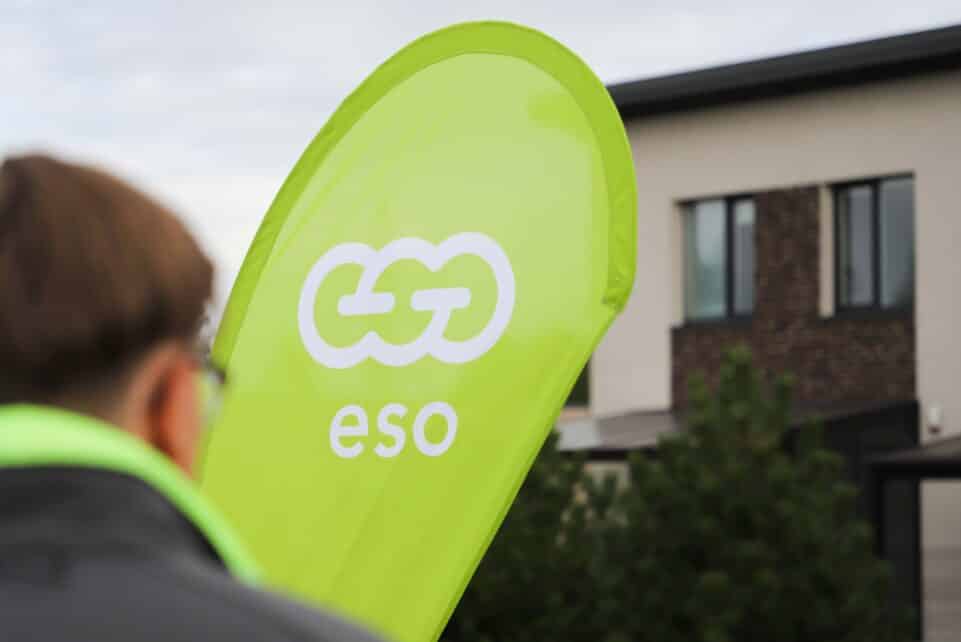 ESO elektros energijos tiekėjas ELTA/Dainiaus Labučio nuotr.