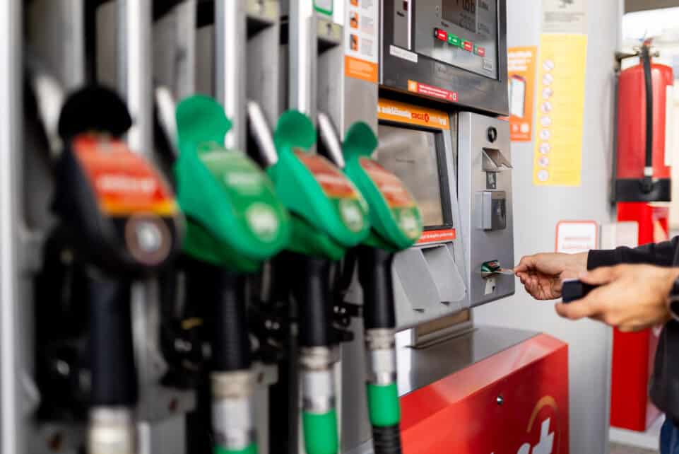 Degalai. ELTA / Žygimantas Gedvila