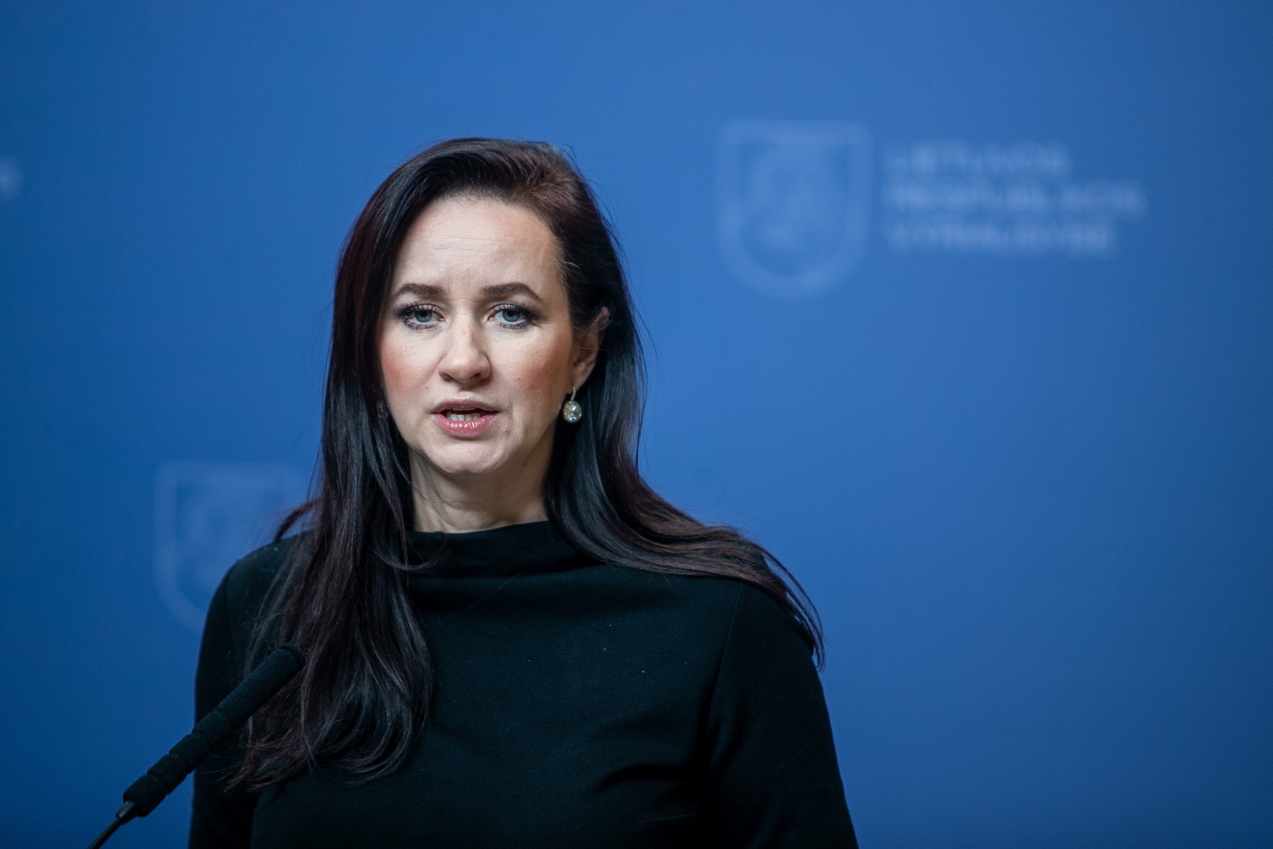Ruginienė apie Andriukaičio pasisakymus dėl Paleckio: net nenoriu komentuoti