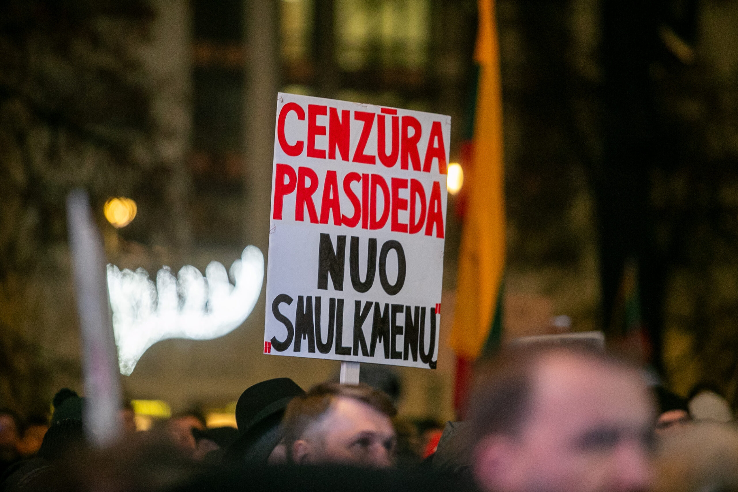 LRT vadovė piktinasi: parlamento darbo grupėje – nė vieno visuomeninio transliuotojo atstovo