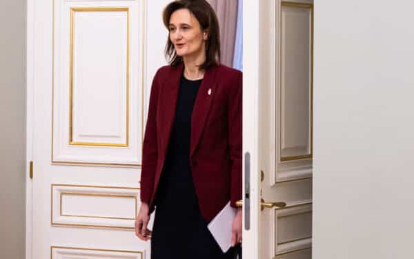 Čmilytė-Nielsen skeptiška: šeimų stiprinimo įstatymų paketui liberalai nepritaria