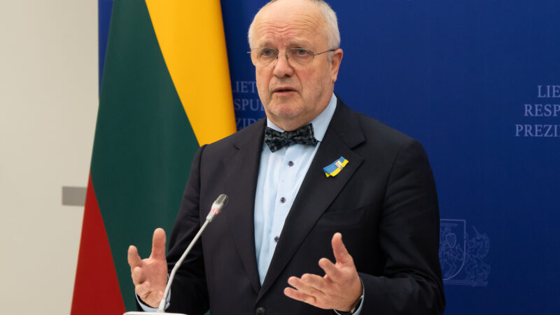 Seimo vadovas remia pataisas: vienišos moterys galėtų naudotis pagalbiniu apvaisinimu